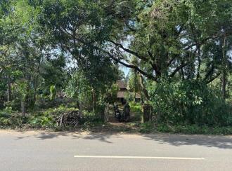 Residential Land for Sale in Thrissur, Thalappilly, Mullurkara