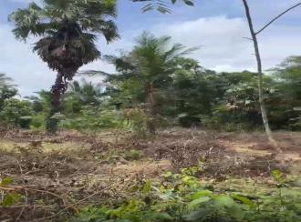 Residential Land for Sale in Thrissur, Thalappilly, Mullurkara