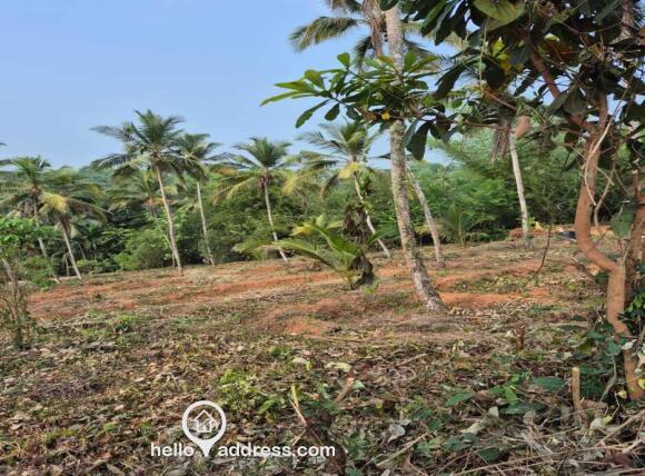 Commercial Land for Sale