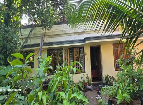 Residential House Villa for Sale