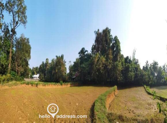 Agricultural Land for Sale
