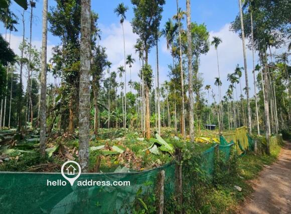 Commercial Land for Sale