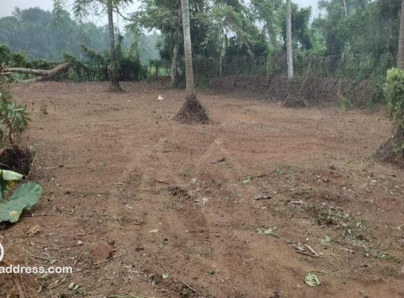 Residential Land for Sale