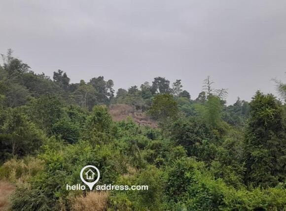 Commercial Land for Sale