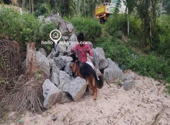 Residential Land for Sale