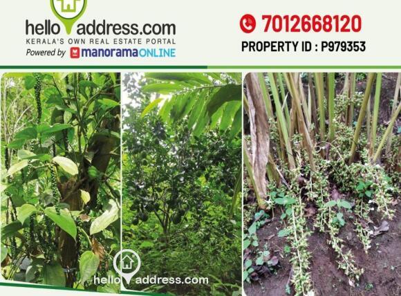 Residential Land for Sale