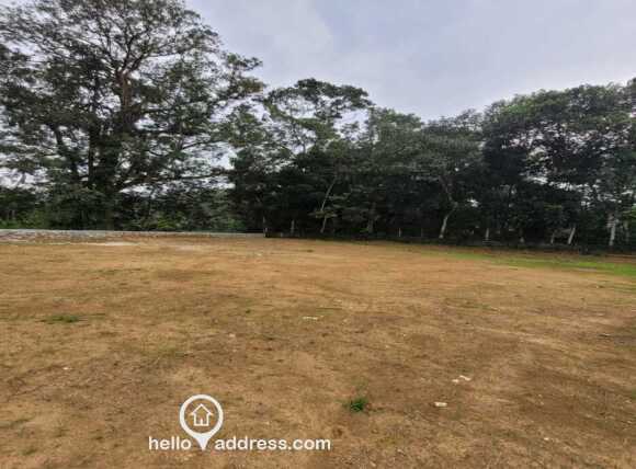 Commercial Land for Sale