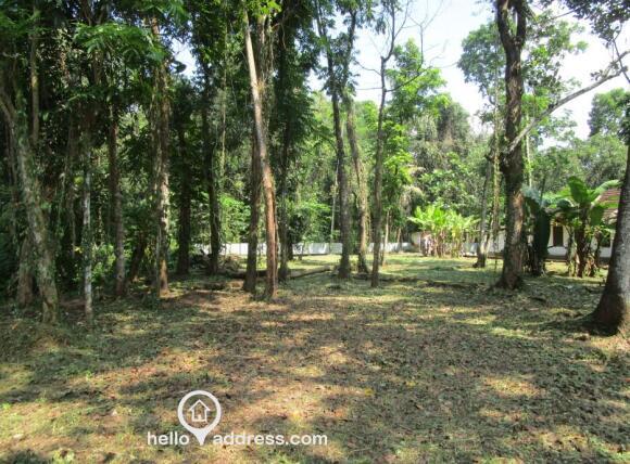 Thiruvalla - Azhiyidathuchira-689113