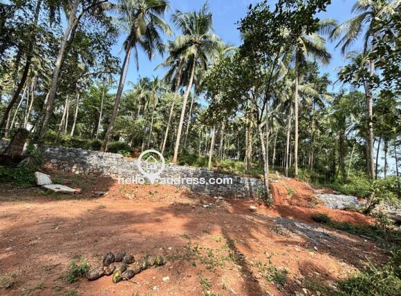 7 cent land for sale