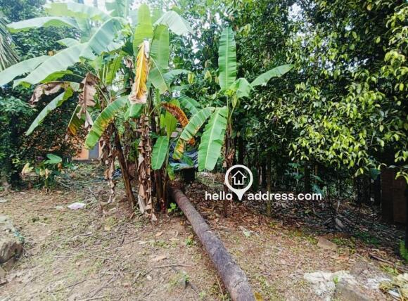 Residential Land for Sale
