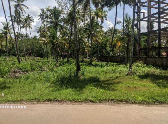 Commercial Land for Sale
