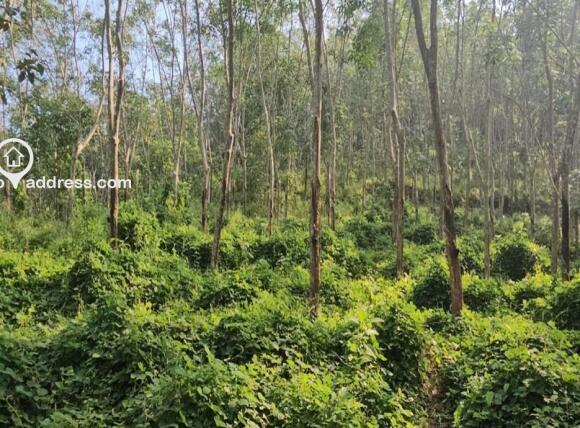 Residential Land for Sale