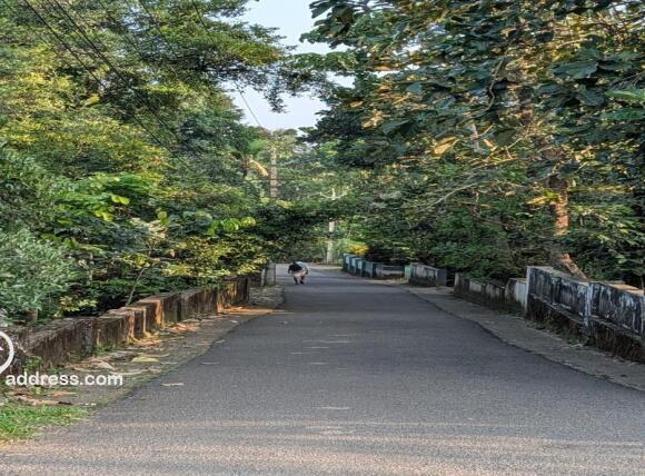 Uthuppukavala-Yordhanapuram rd