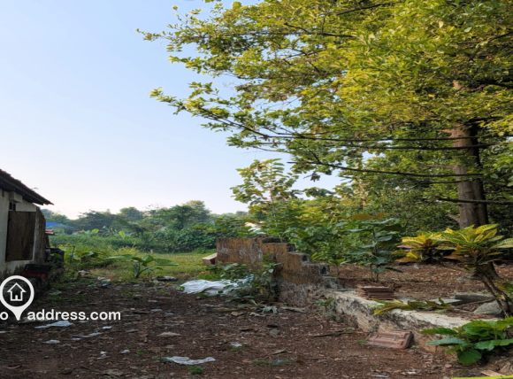 Entrance/gate to main road