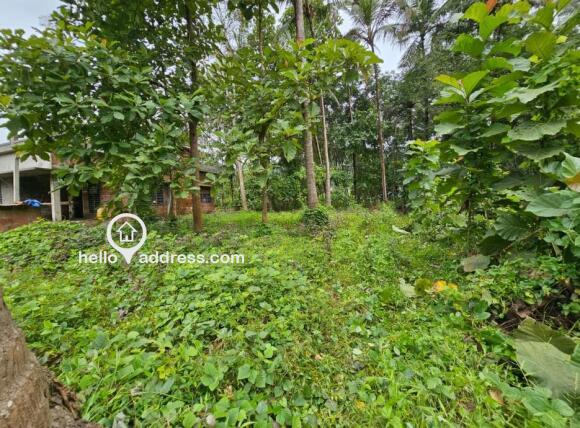 വാസയോഗ്യമായ ഭൂമി വില്പനയ്ക്ക് 