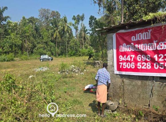 42.25 cents (parambu )