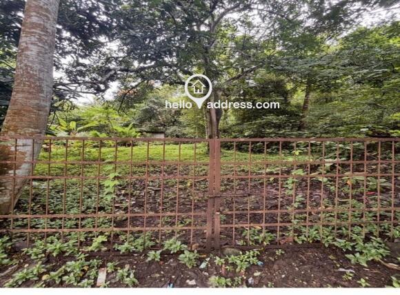 Agricultural Land for Sale