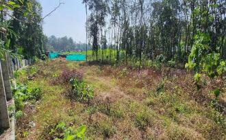 Residential Land for Sale in Kottayam, Ayarkunnam, Ayarkunnam, AYARKUNNAM MARKET
