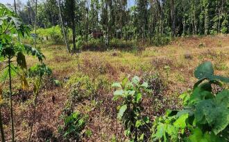 Residential Land for Sale in Kottayam, Ayarkunnam, Ayarkunnam, AYARKUNNAM MARKET