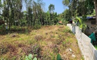 Residential Land for Sale in Kottayam, Ayarkunnam, Ayarkunnam, AYARKUNNAM MARKET