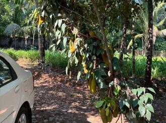 Residential Land for Sale in Ernakulam, Perumbavoor, Perumbavoor, Y W C A Road