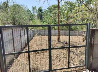 Residential Land for Sale in Thrissur, Thalappilly, Mundathikode