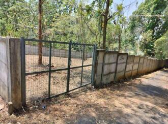 Residential Land for Sale in Thrissur, Thalappilly, Mundathikode