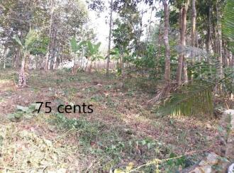 വാസയോഗ്യമായ ഭൂമി വില്പനയ്ക്ക് Trivandrum, Thiruvananthapuram, Mylam