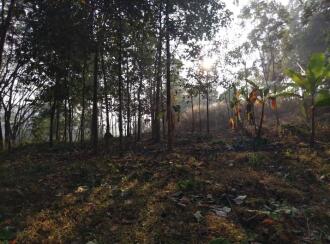 വാസയോഗ്യമായ ഭൂമി വില്പനയ്ക്ക് Trivandrum, Thiruvananthapuram, Mylam