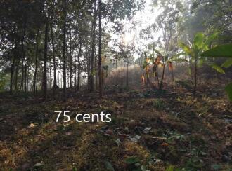 വാസയോഗ്യമായ ഭൂമി വില്പനയ്ക്ക് Trivandrum, Thiruvananthapuram, Mylam