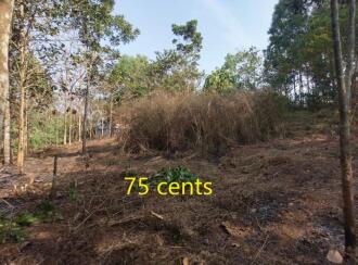 വാസയോഗ്യമായ ഭൂമി വില്പനയ്ക്ക് Trivandrum, Thiruvananthapuram, Mylam