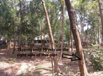 വാസയോഗ്യമായ ഭൂമി വില്പനയ്ക്ക് Trivandrum, Thiruvananthapuram, Mylam