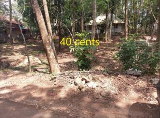 വാസയോഗ്യമായ ഭൂമി വില്പനയ്ക്ക് Trivandrum, Thiruvananthapuram, Mylam