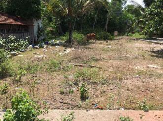 Residential Land for Sale in Alleppey, Alappuzha, Kalarcode, Near Reliance Mall Alappuzha, Paravur, Punnapra, Alappuzha