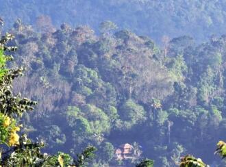 Commercial Building for Sale in Idukki, Munnar, Munnar, near Munnar