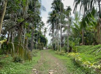 Residential House Villa for Sale in Thrissur, Thrissur town, Thrissur, https://maps.app.goo.gl/4qSdVPipgp4te82PA