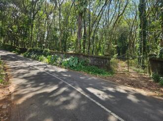 Residential Land for Sale in Kottayam, Pala, Chakkampuzha, chakampuzha uzhavoor road