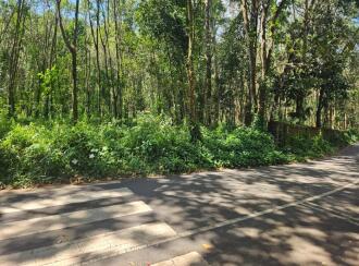 Residential Land for Sale in Kottayam, Pala, Chakkampuzha, chakampuzha uzhavoor road