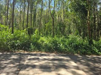 Residential Land for Sale in Kottayam, Pala, Chakkampuzha, chakampuzha uzhavoor road