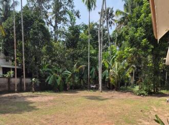 Residential Land for Sale in Thrissur, Kodungallur, Kodungallur, Parapulli bazar