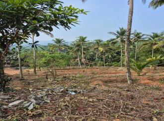 Residential Land for Sale in Malappuram, Kondotty, Kondotty, Edavannappara
