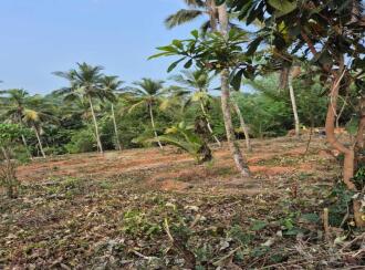 Residential Land for Sale in Malappuram, Kondotty, Kondotty, Edavannappara