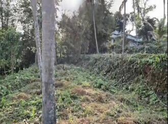 Residential Land for Sale in Malappuram, Kondotty, Kondotty, Edavannappara