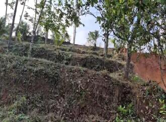 Residential Land for Sale in Malappuram, Kondotty, Kondotty, Edavannappara