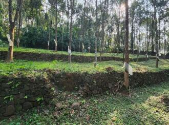 Residential Land for Sale in Kottayam, Erumeli, Erumeli