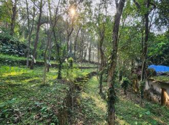 Residential Land for Sale in Kottayam, Erumeli, Erumeli