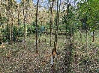 Residential Land for Sale in Kottayam, Erumeli, Erumeli