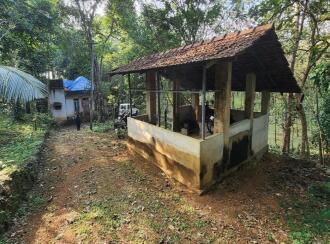 Residential Land for Sale in Kottayam, Erumeli, Erumeli