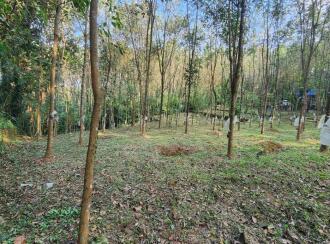 Residential Land for Sale in Kottayam, Erumeli, Erumeli