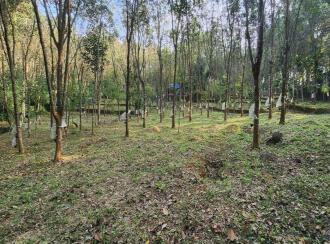 Residential Land for Sale in Kottayam, Erumeli, Erumeli